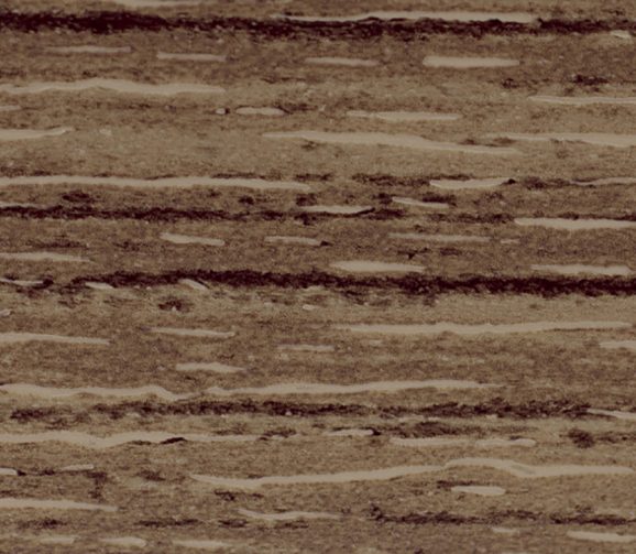 Obrzeże Dąb Truflowy 6151